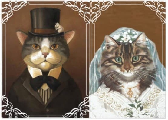 gatos casándose