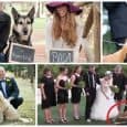 invitaciones boda con perros
